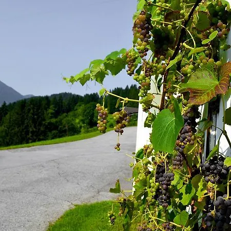 Haus Tonelehof Appartement