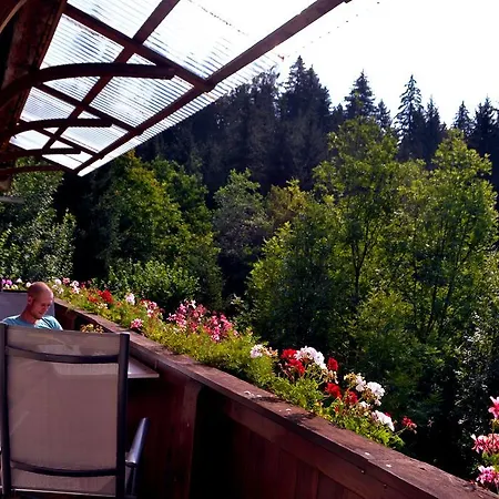 Haus Tonelehof Appartement