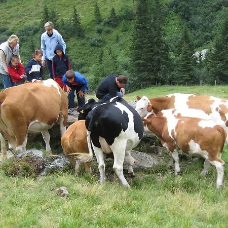 公寓 Haus Tonelehof *