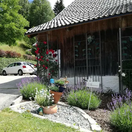 Haus Tonelehof * Dellach im Drautal