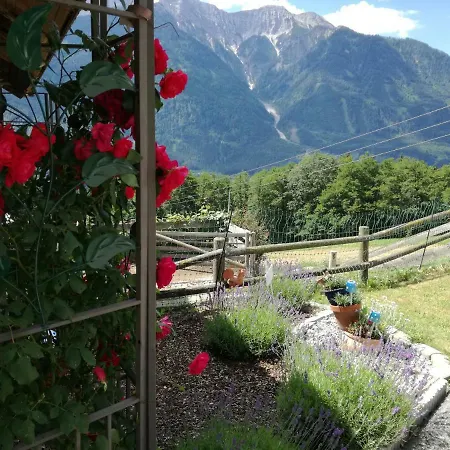 Haus Tonelehof Apartman *