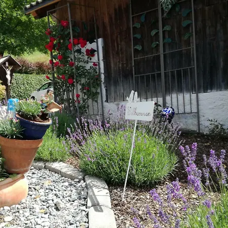 Haus Tonelehof Appartement *