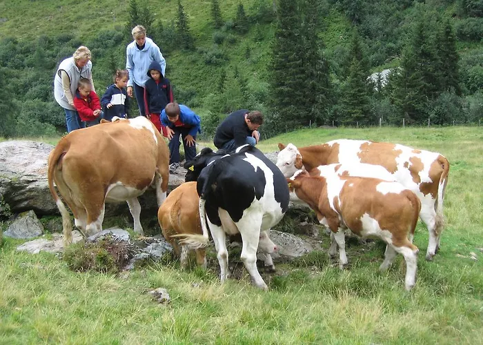 דירה Haus Tonelehof *